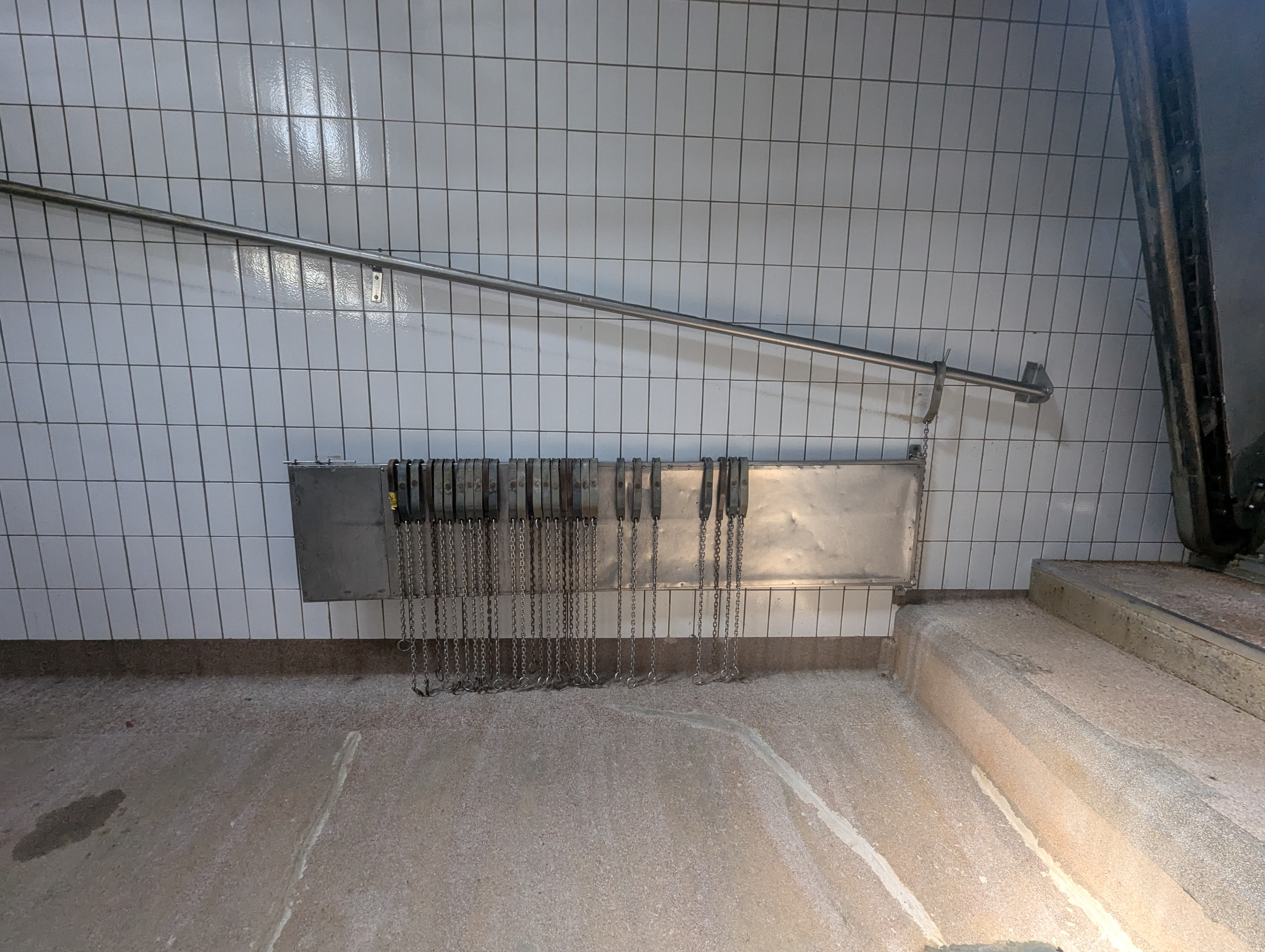 Used Sheep and cattle slaughterline