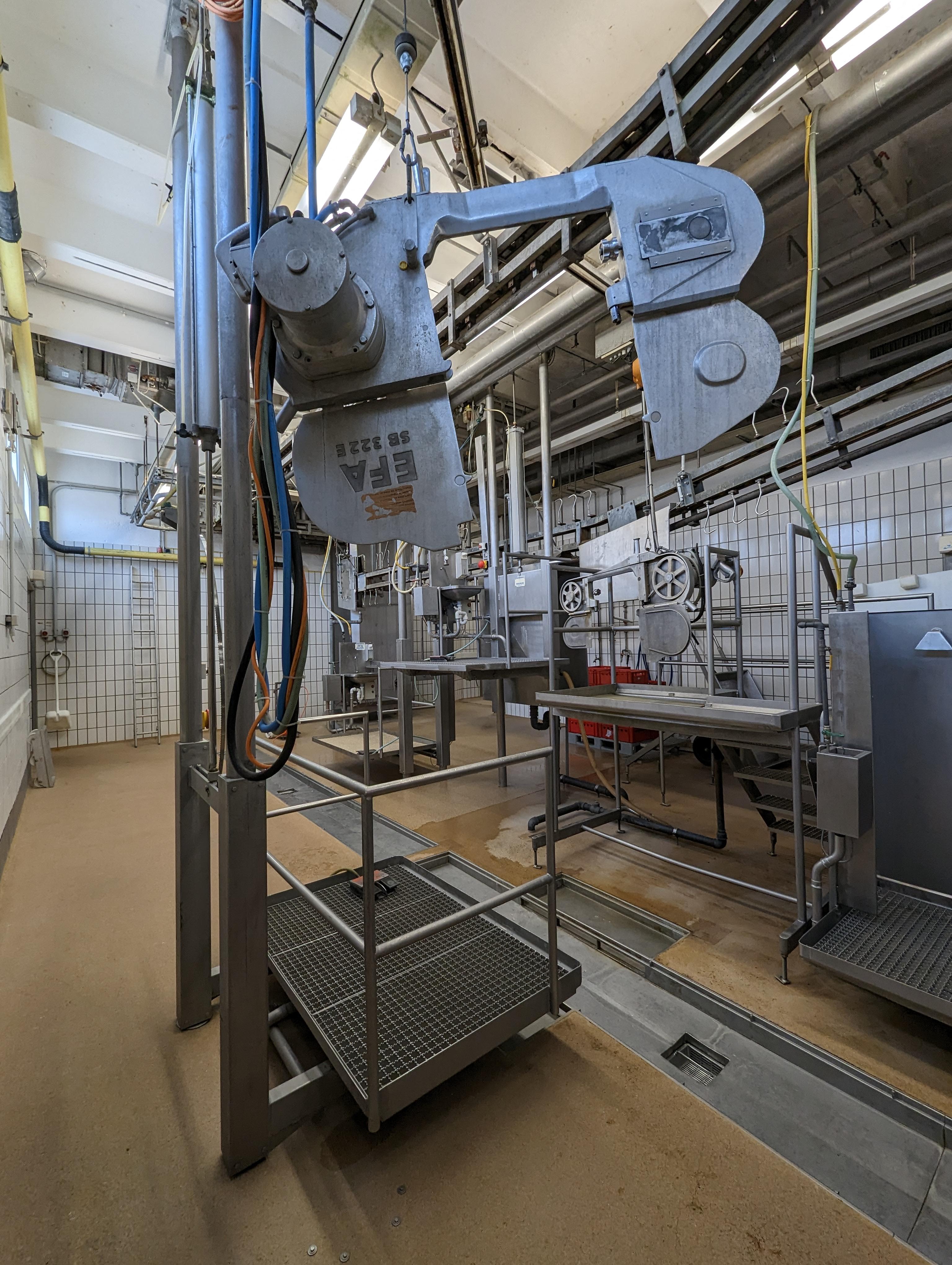 Used Cattle 25 cph - Slaughterline