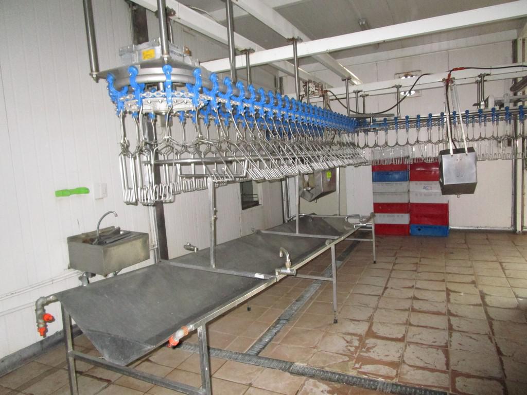 Used Clean line conveyor for poultry slaughterline