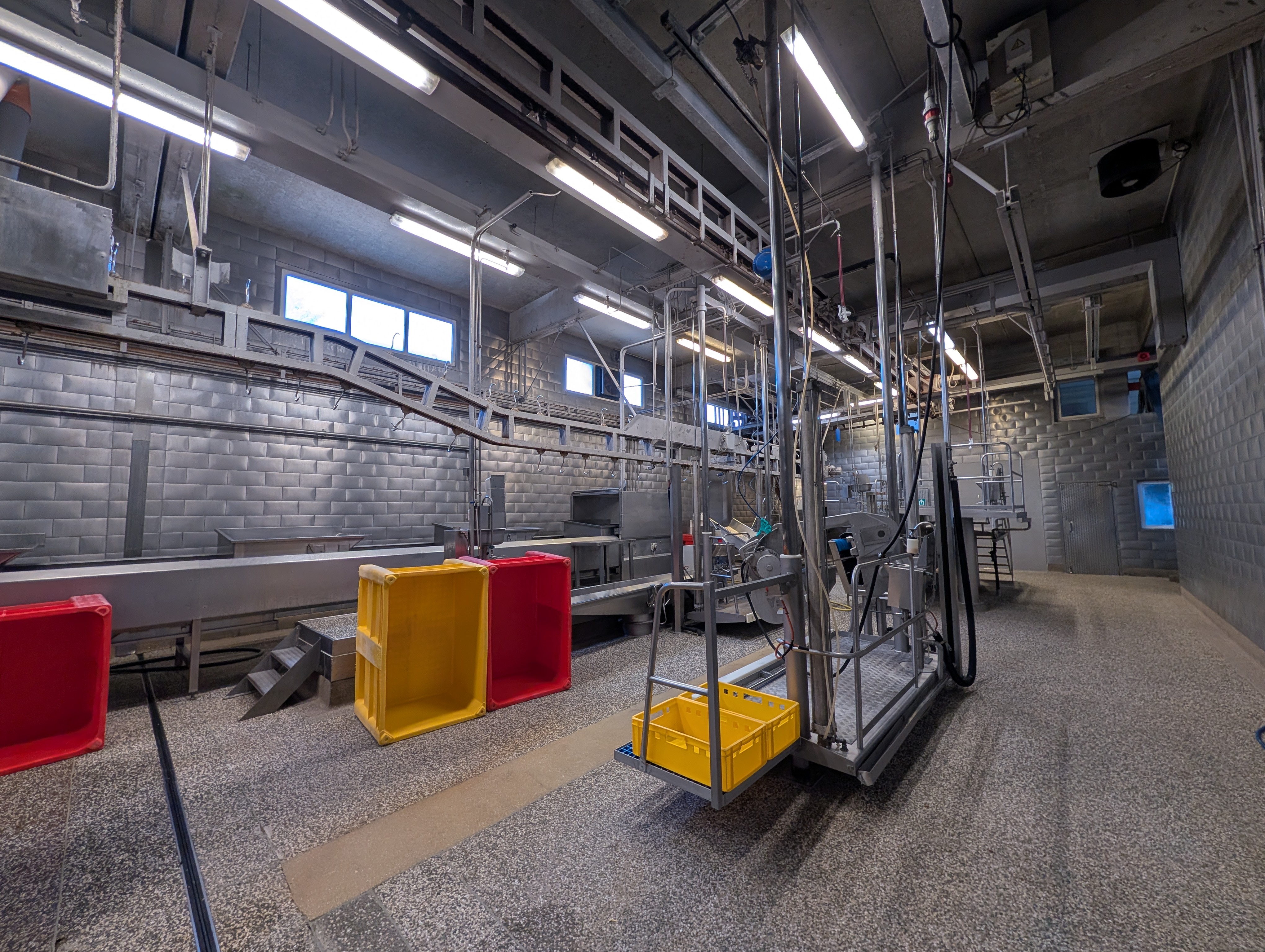 Used 50 cattle per hour slaughterline