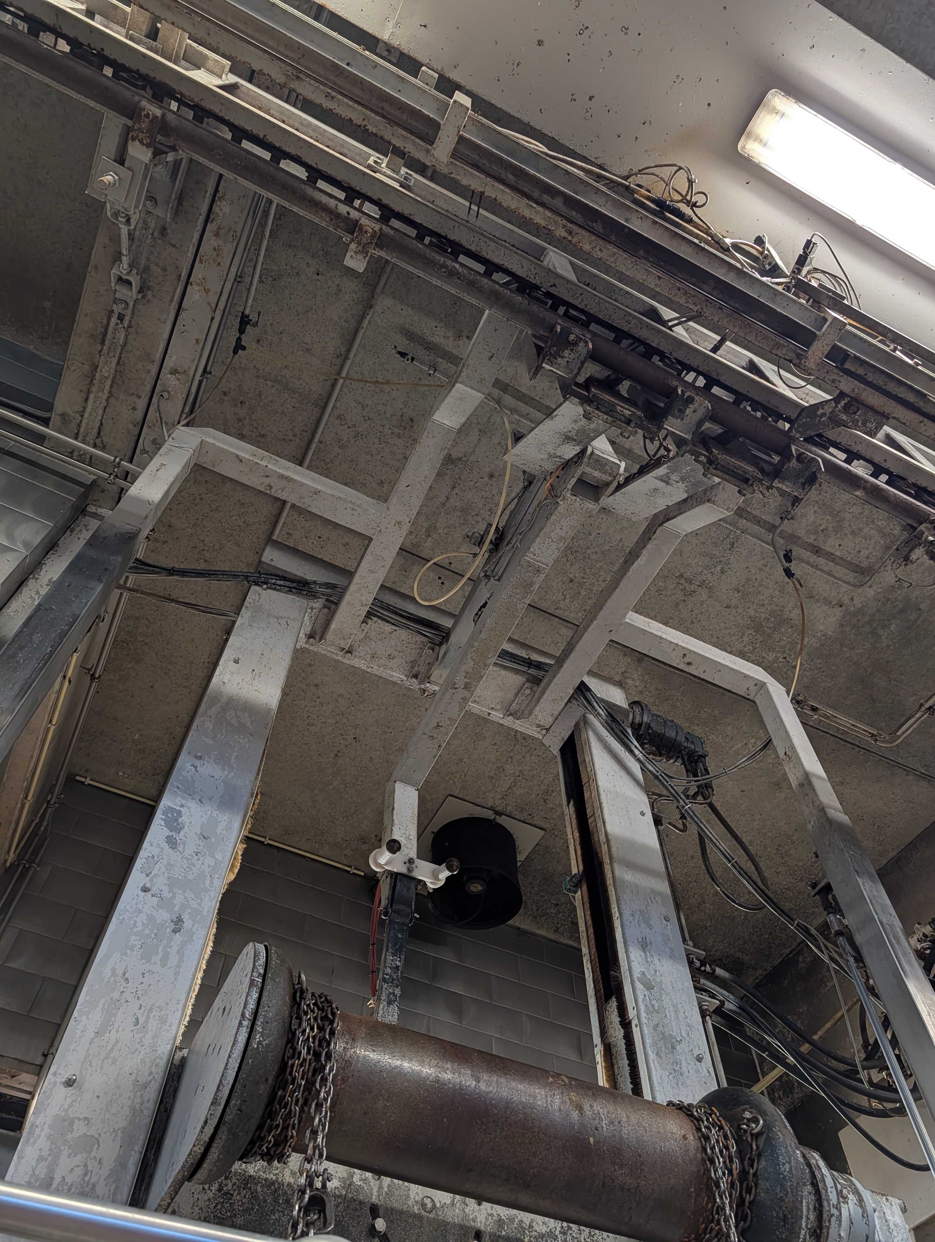 Used 50 cattle per hour slaughterline