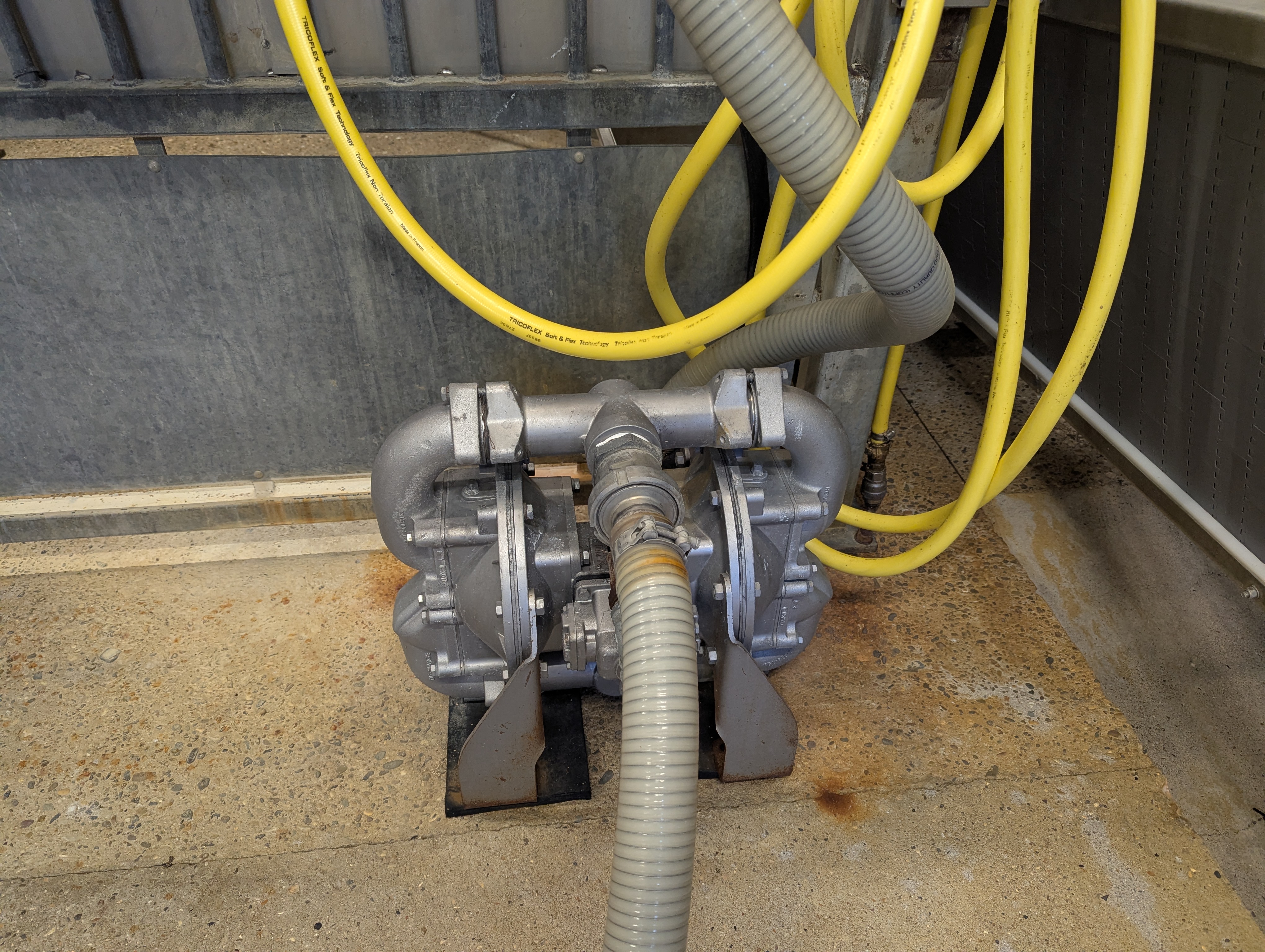 Used Sheep and cattle slaughterline