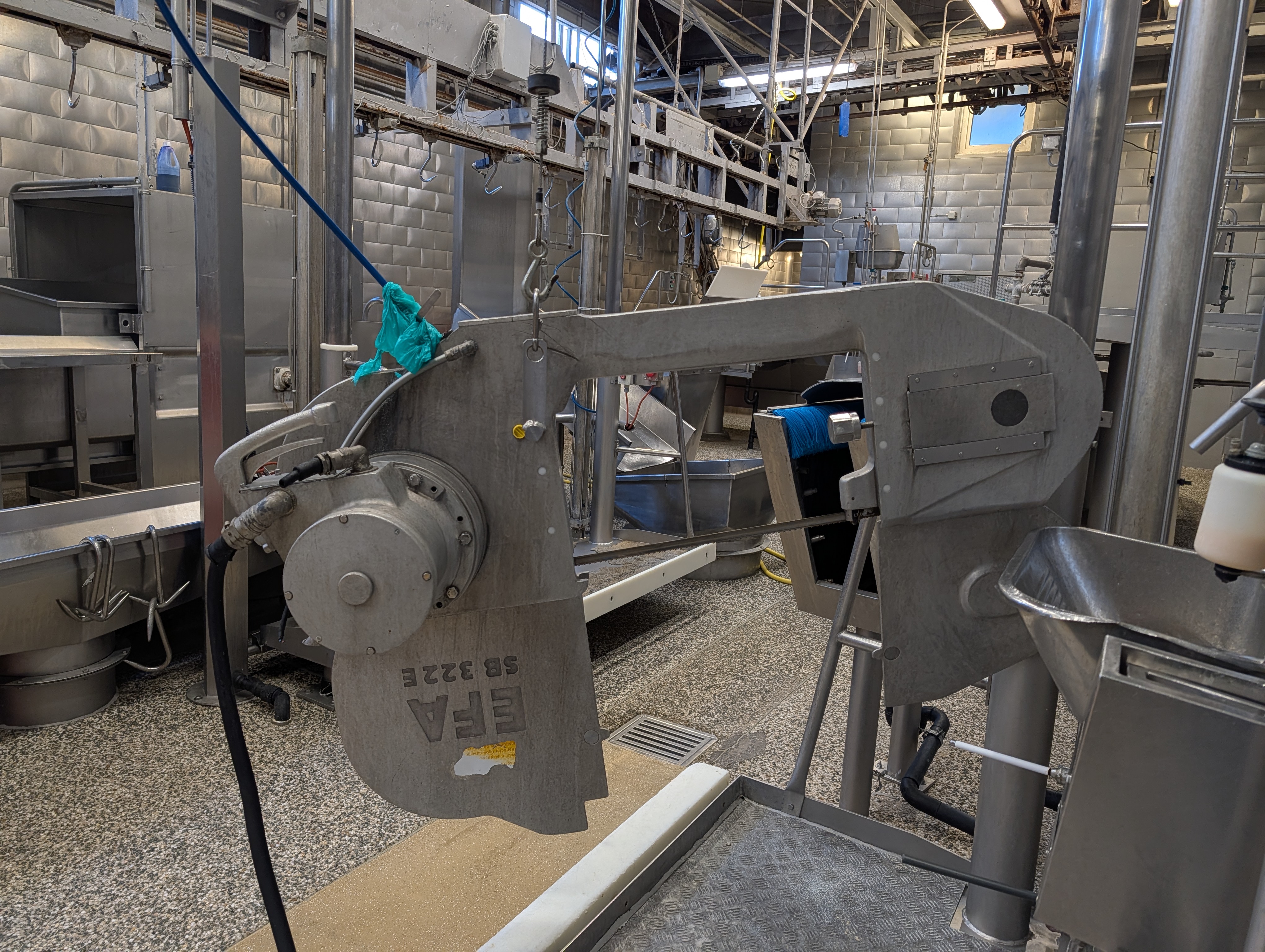 Used 50 cattle per hour slaughterline