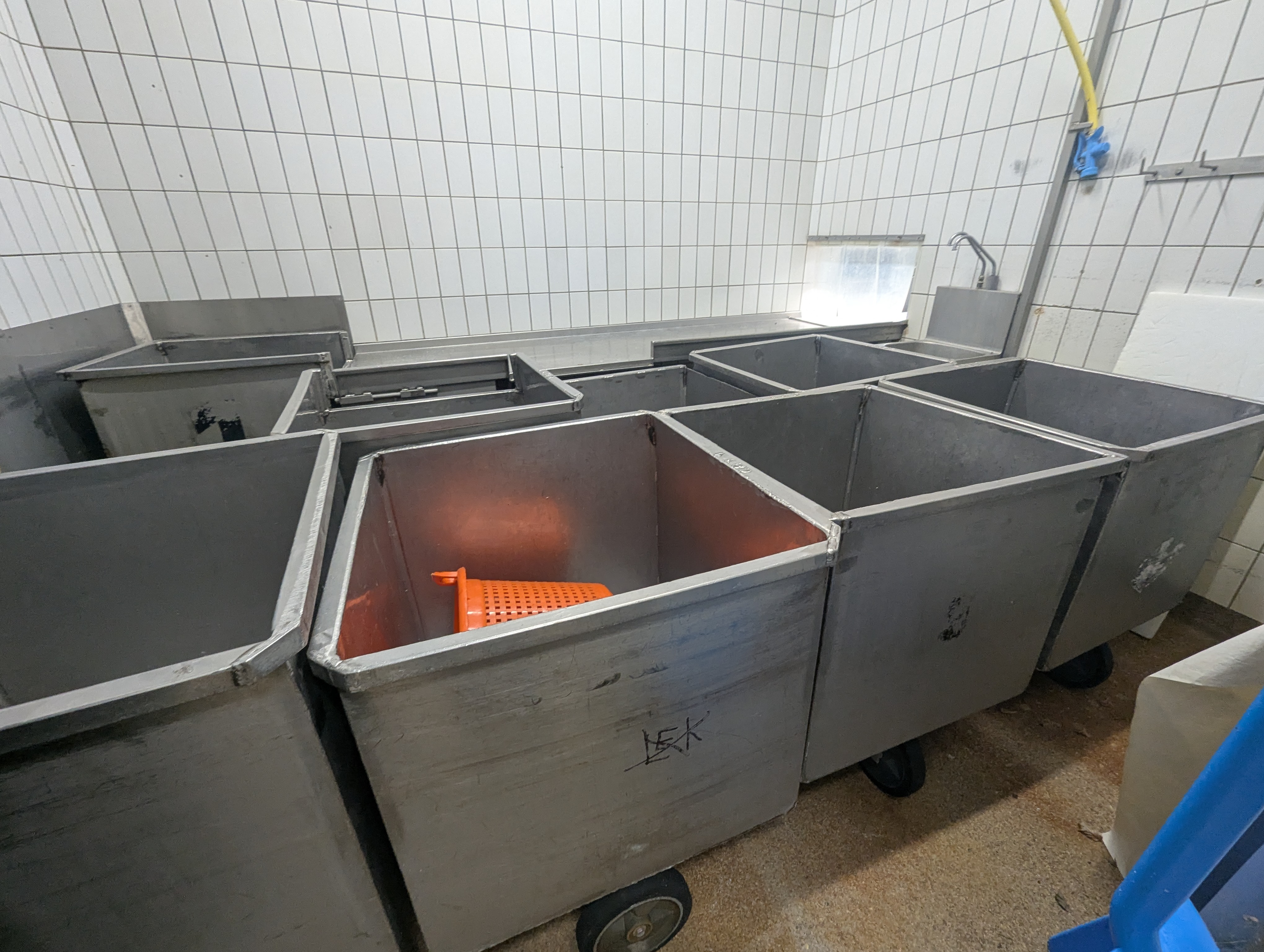 Used Sheep and cattle slaughterline