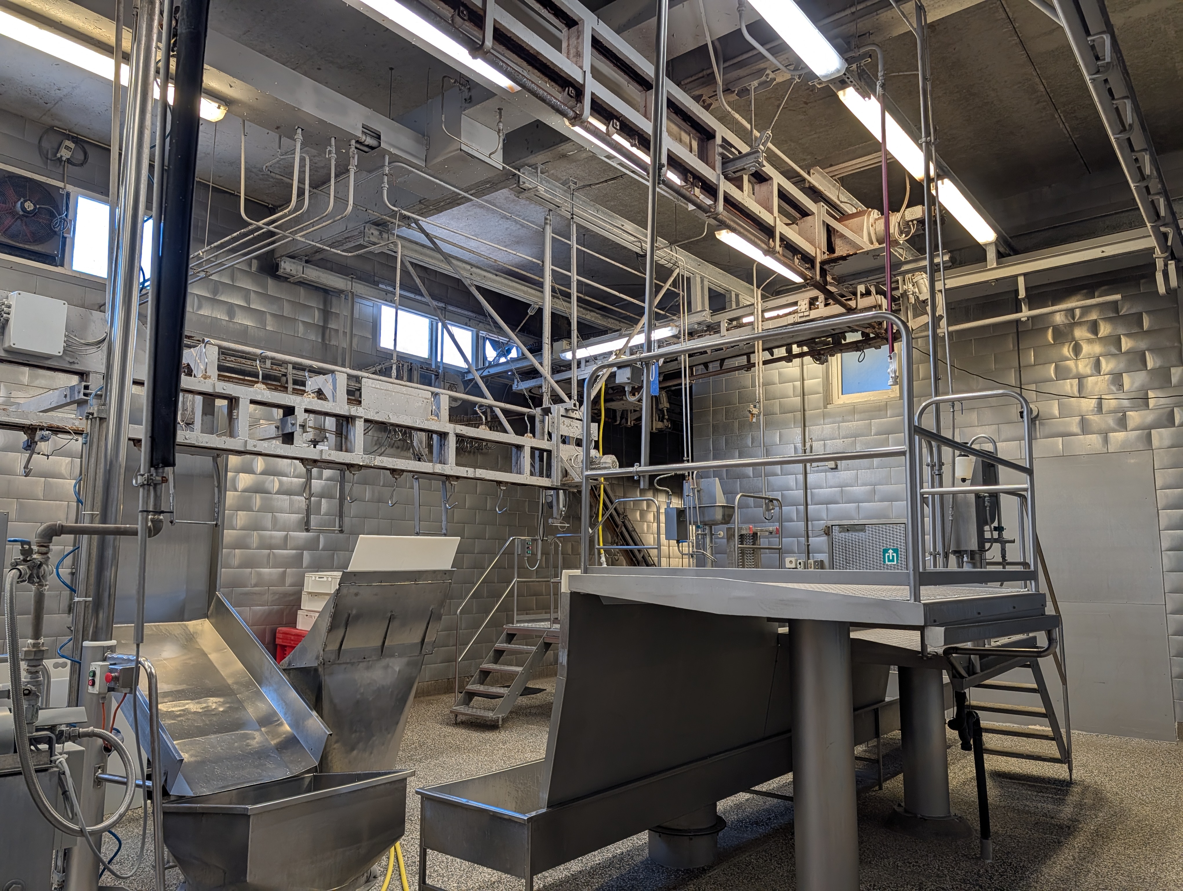 Used 50 cattle per hour slaughterline