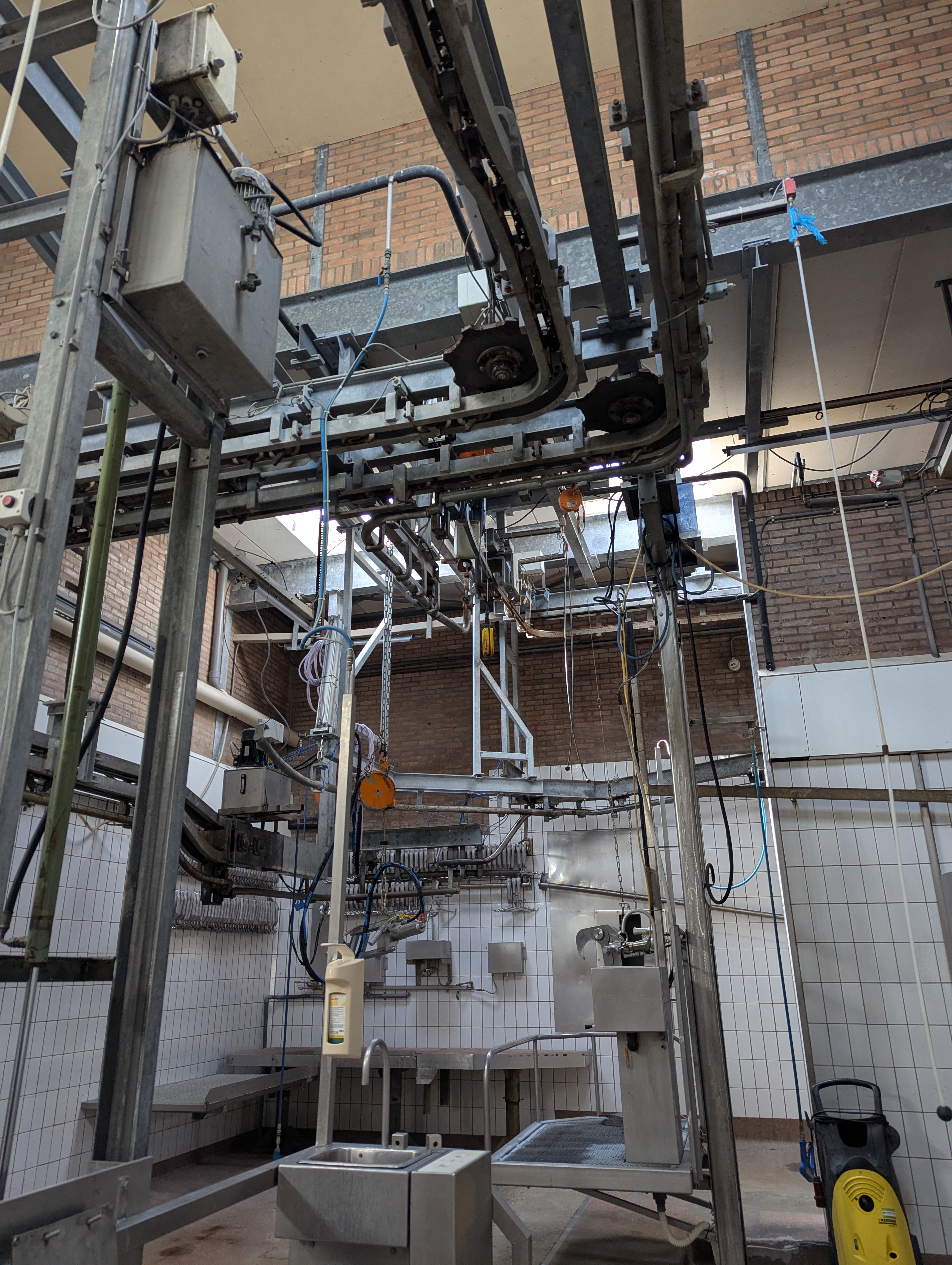 Used Sheep and cattle slaughterline