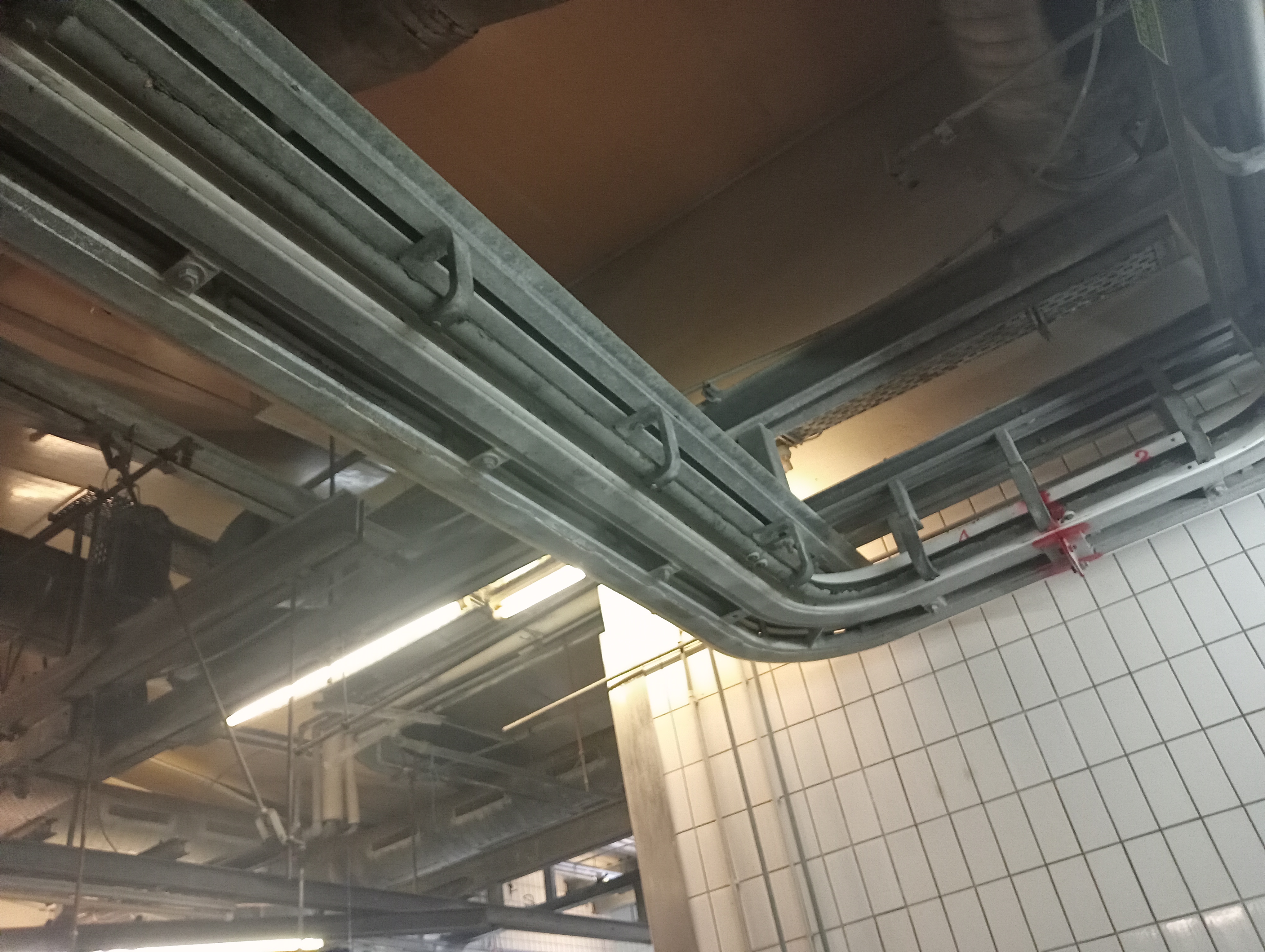 Used Bleeding conveyor