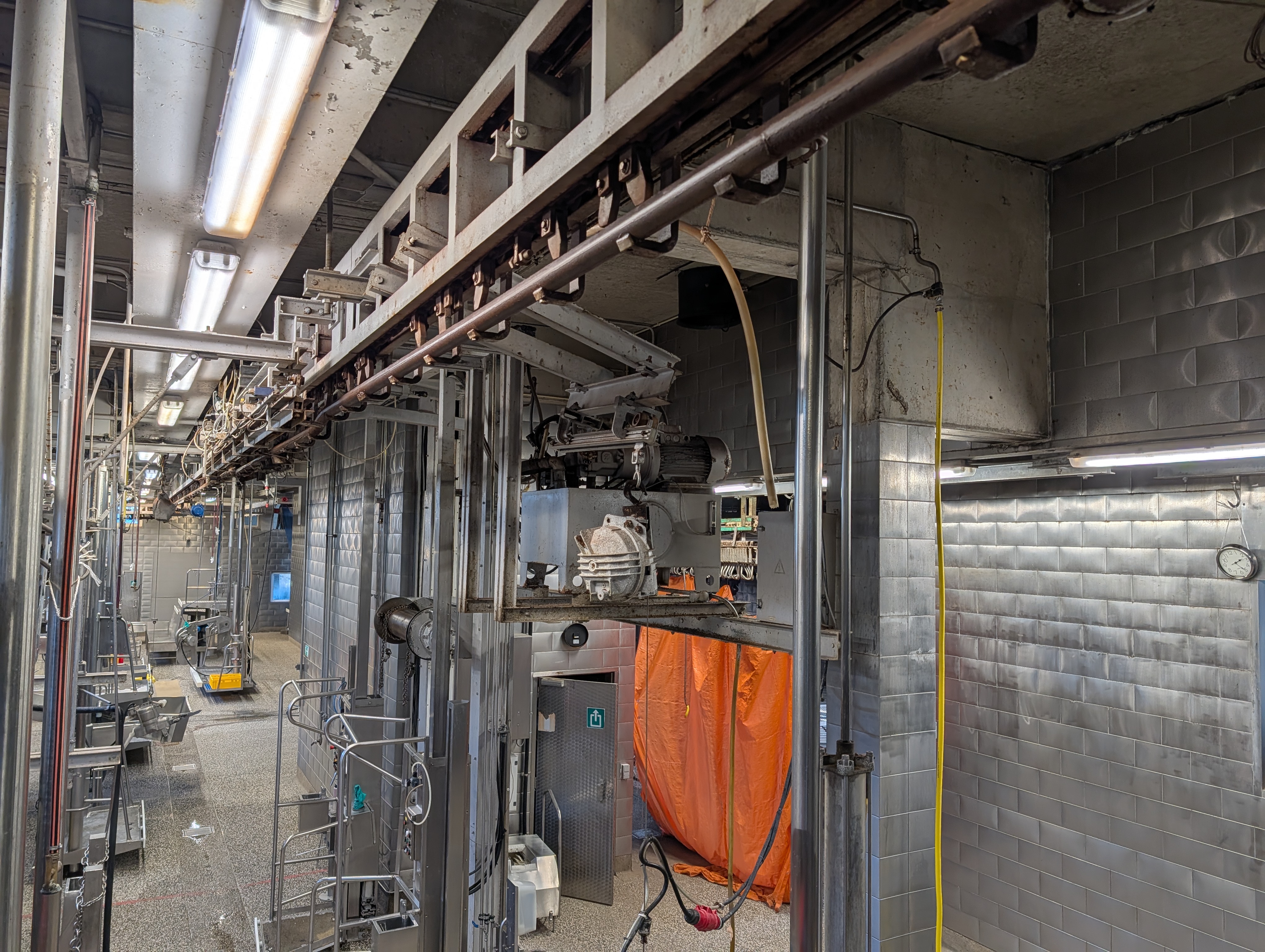 Used 50 cattle per hour slaughterline