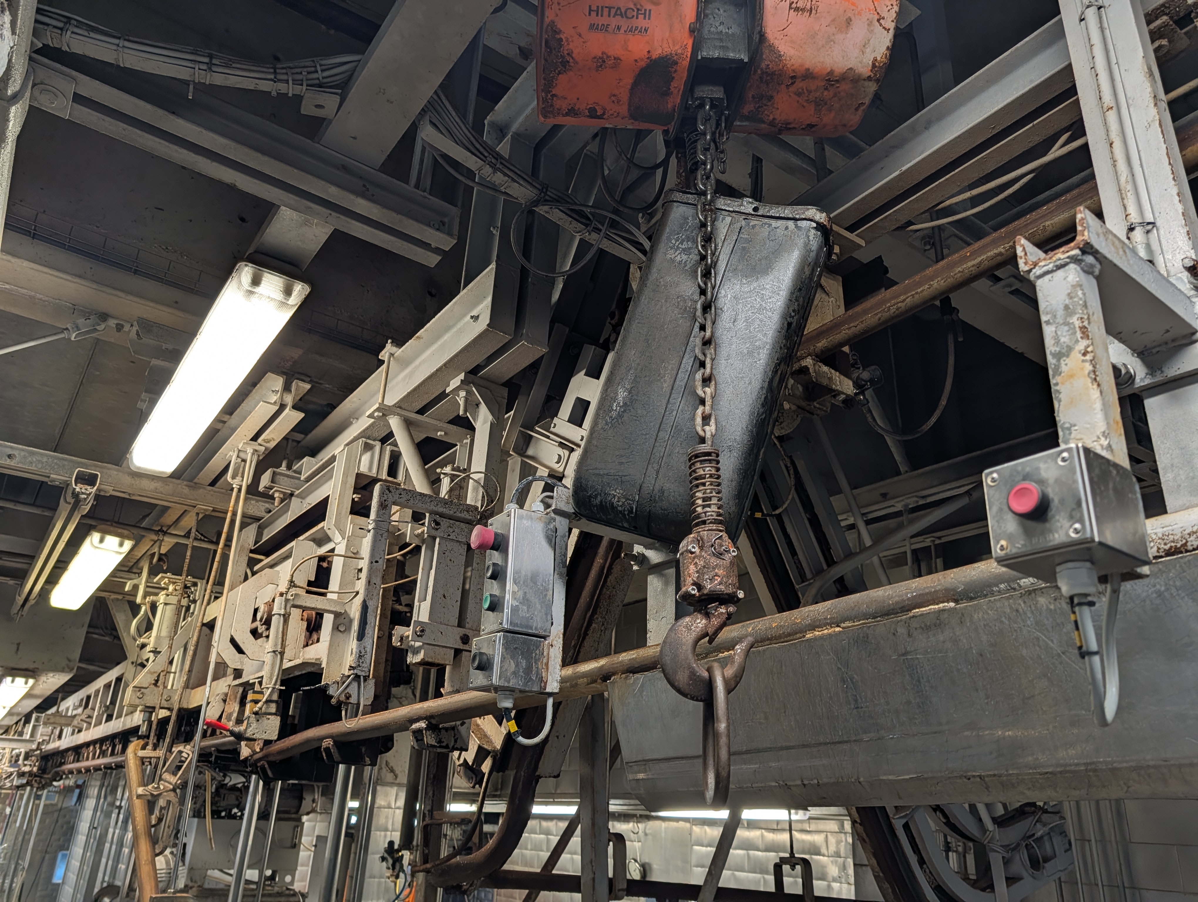 Used 50 cattle per hour slaughterline