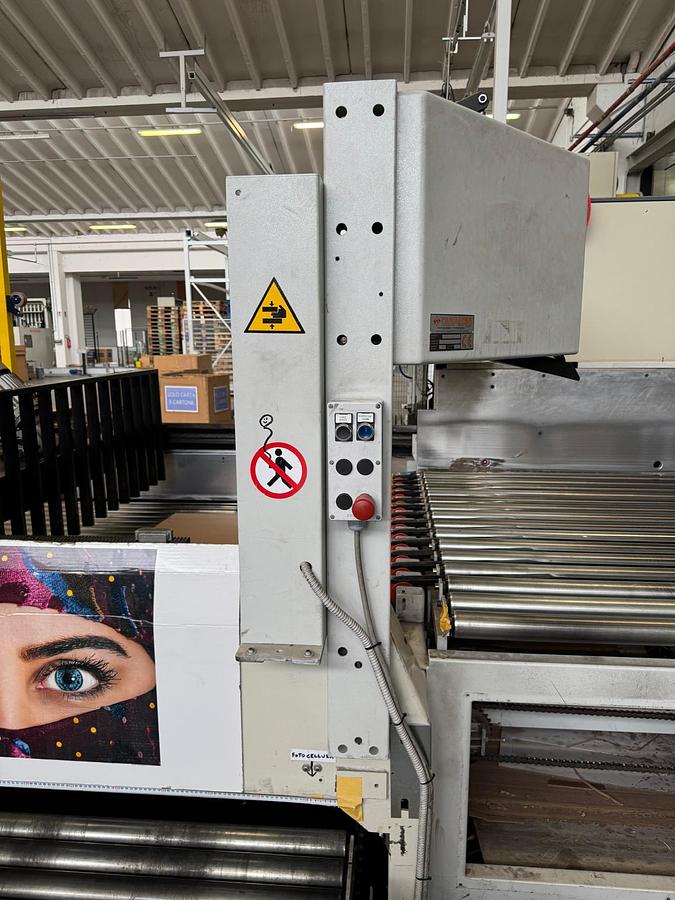 Used Palletizzatore Castaldini