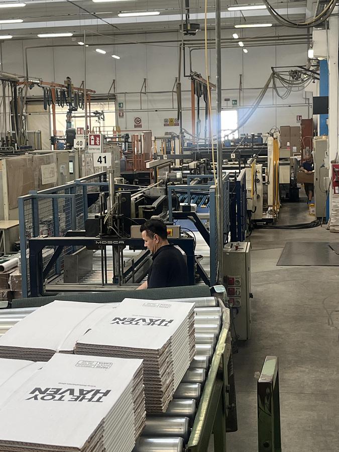 Used Piega Celmacch