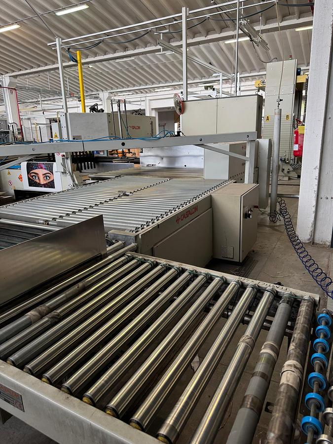Used Palletizzatore Castaldini