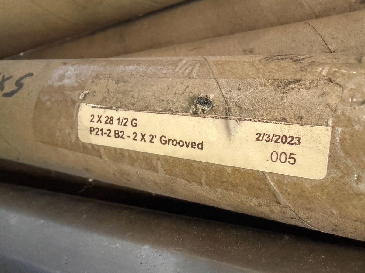 Used (2x$) 5x255-2 M5 Grooved plunger