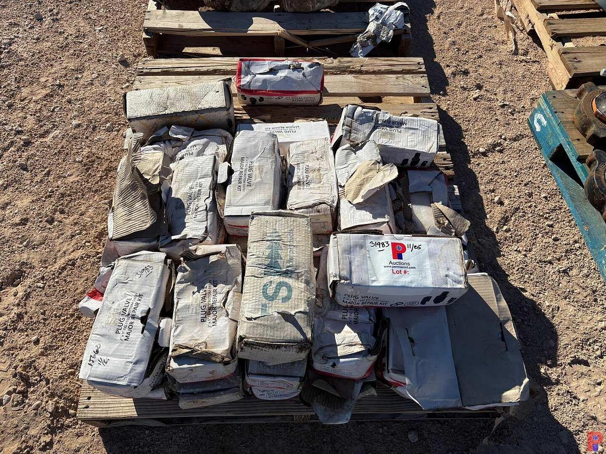 Used PALLET OF (30) 2” X 1” 1502 PLUG VALVE REPAIR KITS