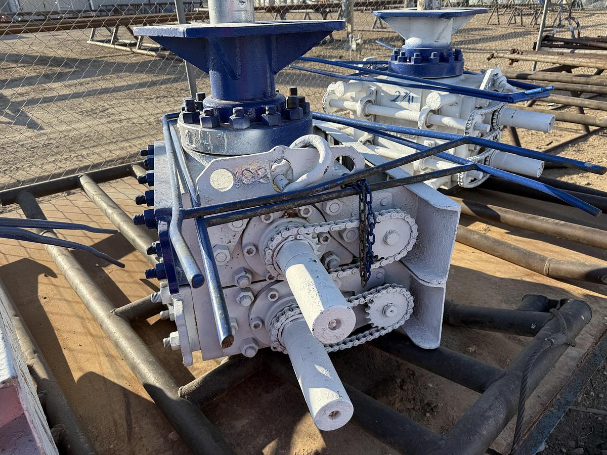 Used 6” REEDY 3M 2-7/8 DBL MANUAL BLOWOUT PREVENTER, CHARTED