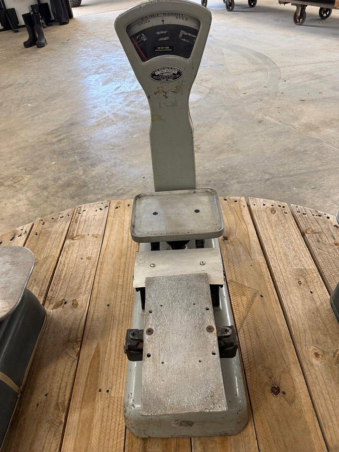 Used Vintage Toledo & Exact Weight Scales