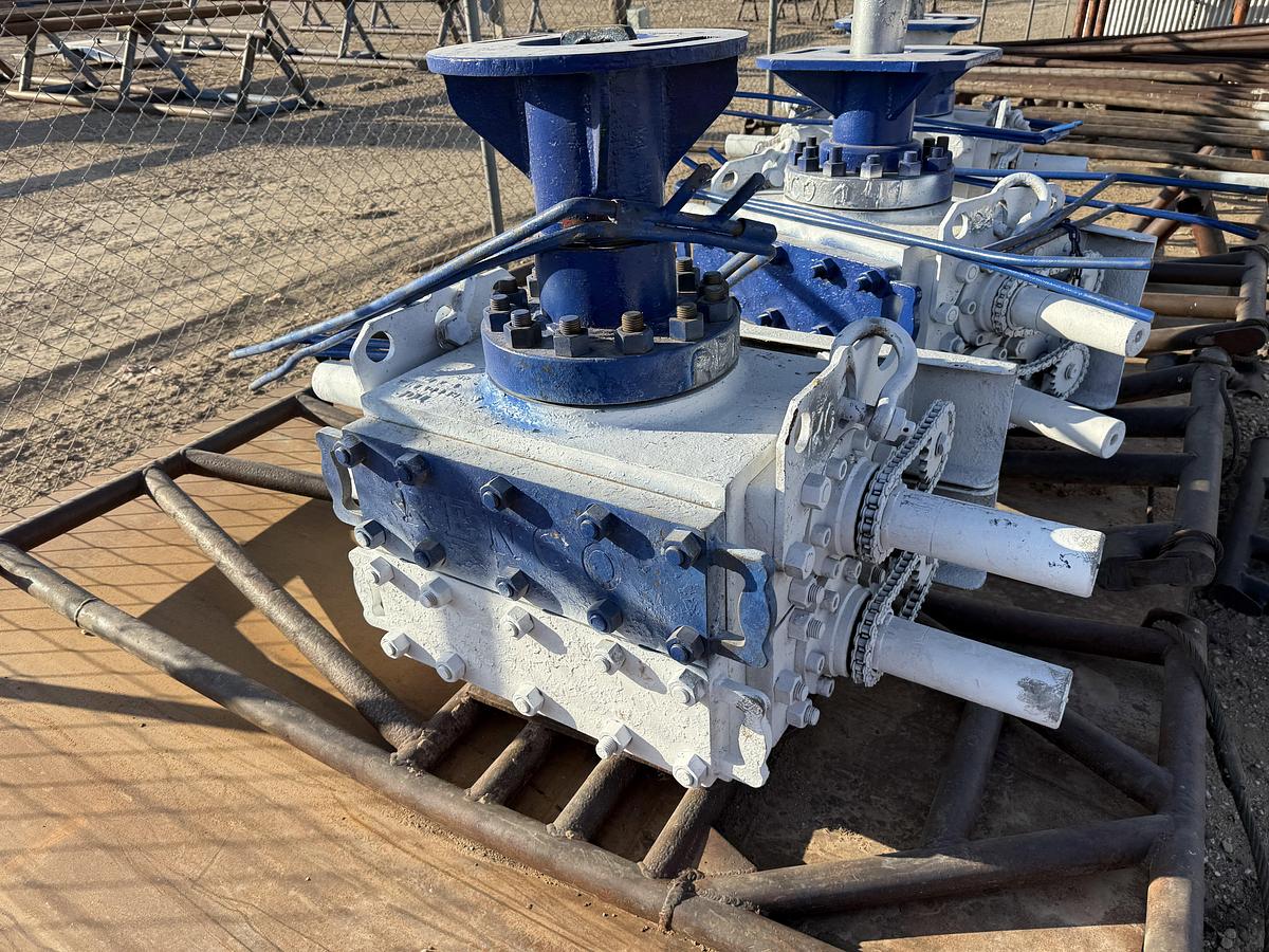 Used 6” REEDY 3M 2-7/8 DBL MANUAL BLOWOUT PREVENTER, CHARTED