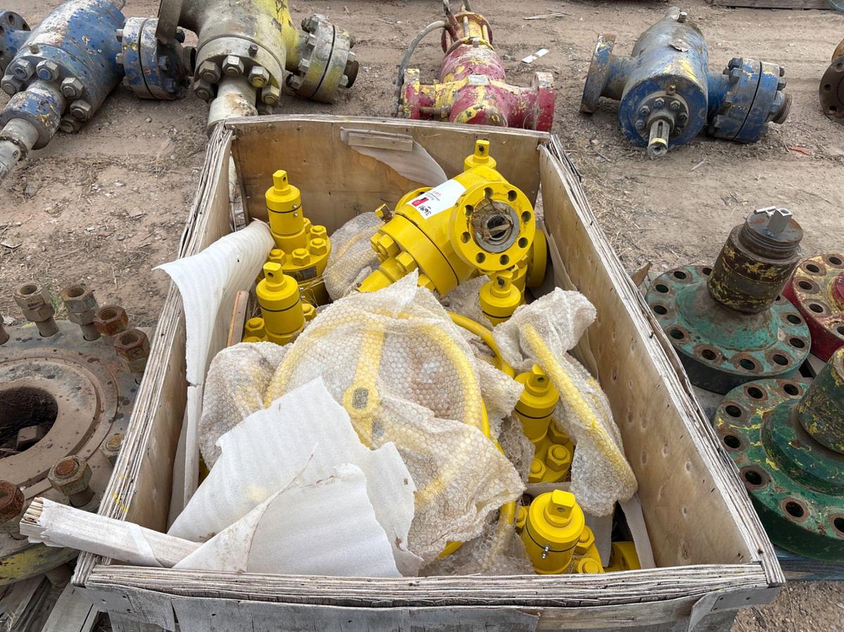 Used (10x$) (10) unused 1-13/16” 10M gate valves