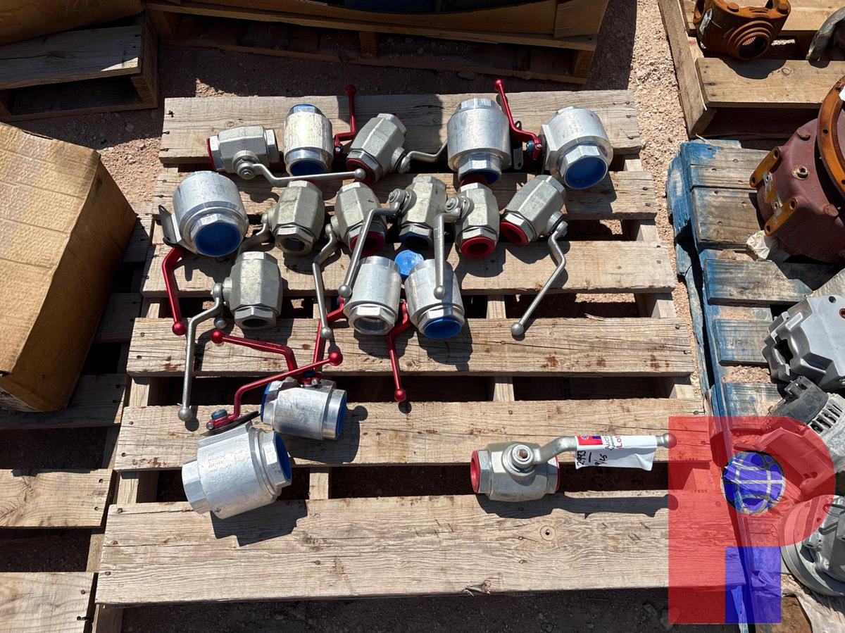 Used (17) DMIC BALL VALVES, 2”-3”