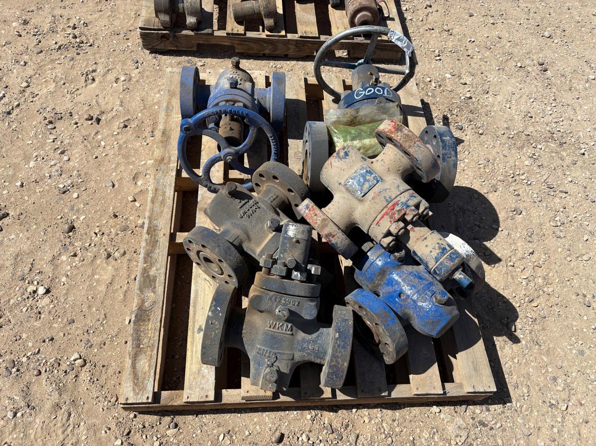Used (6x$) (5)2-1/16” & (1) 3-1/16” 5M gate valves