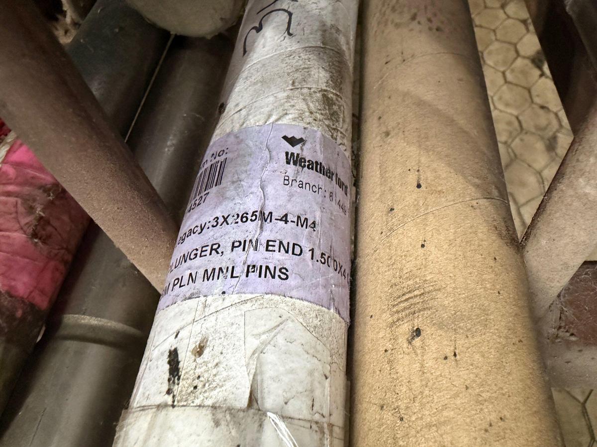 Used (6x$) asstd size plungers