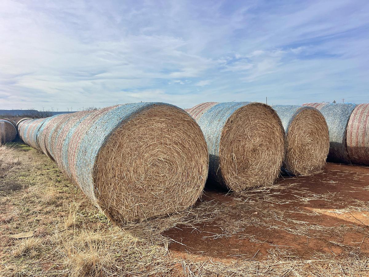 Used (10) 2025 BALED 5x5 HAYGRAZER / SORGHUM GRASS MIX ROUND BALES