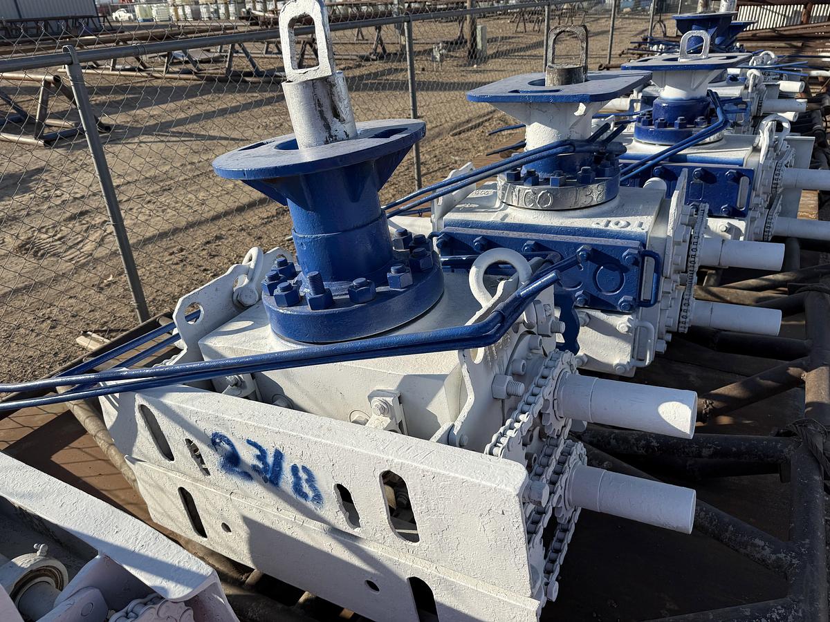 Used 6” REEDY 3M 2-3/8 DBL MANUAL BLOWOUT PREVENTER, CHARTED