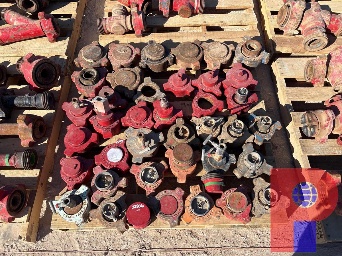 Used PALLET OF (37) ASSORTED 2” & 3” 1502 HAMMER UNIONS, END CAPS, TEST CAPS, ETC.