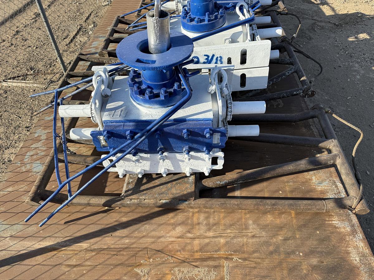 Used 6” REEDY 3M 2-3/8 DBL MANUAL BLOWOUT PREVENTER, CHARTED