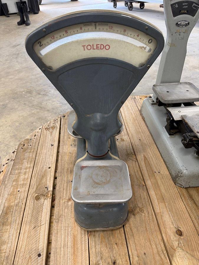 Used Vintage Toledo & Exact Weight Scales