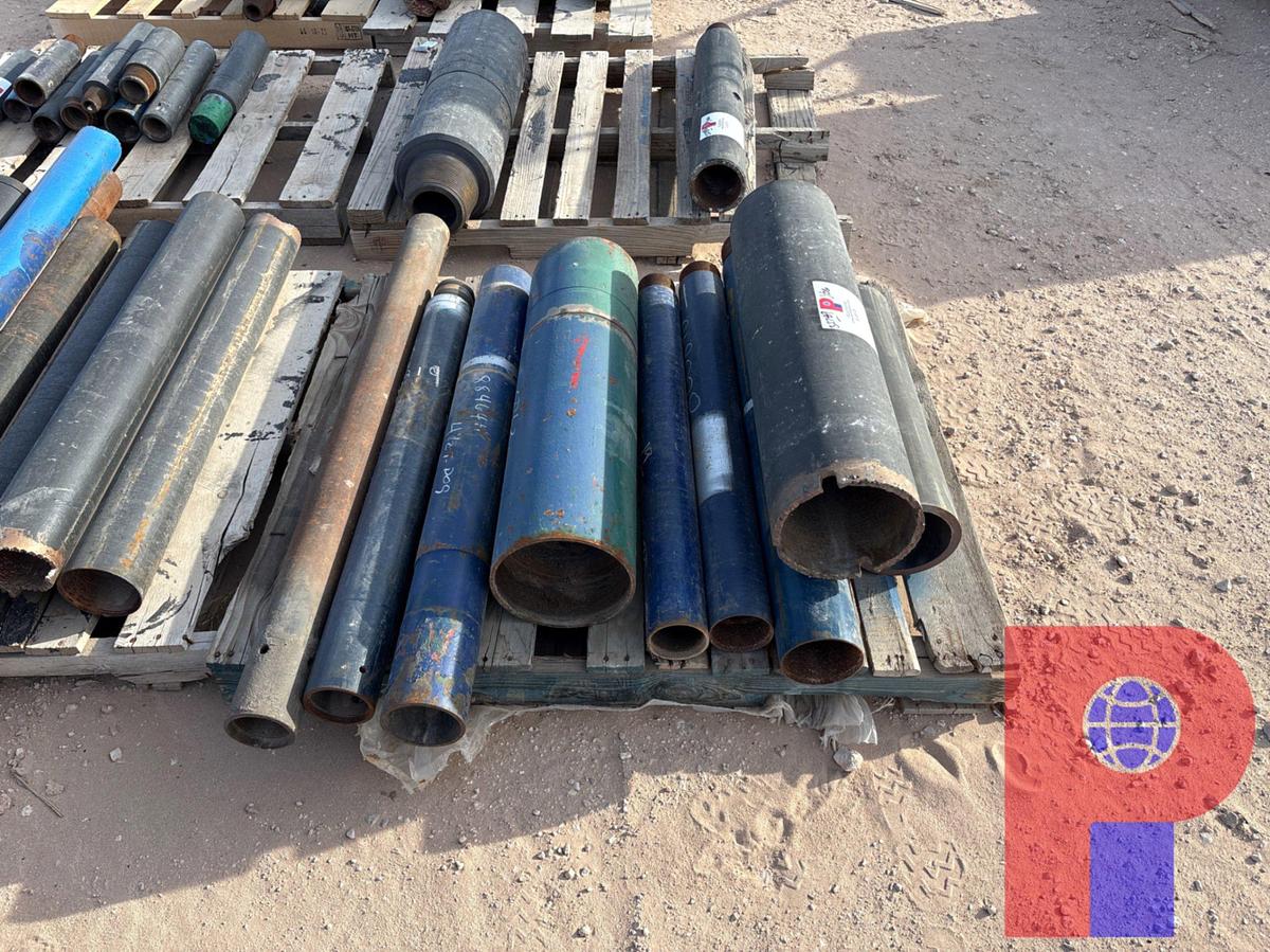 Used (8) assorted size wp shoes & extensions