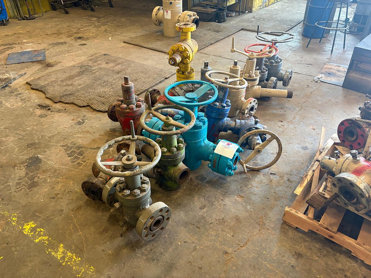 Used (13) 2-9/16” 5k gate valves