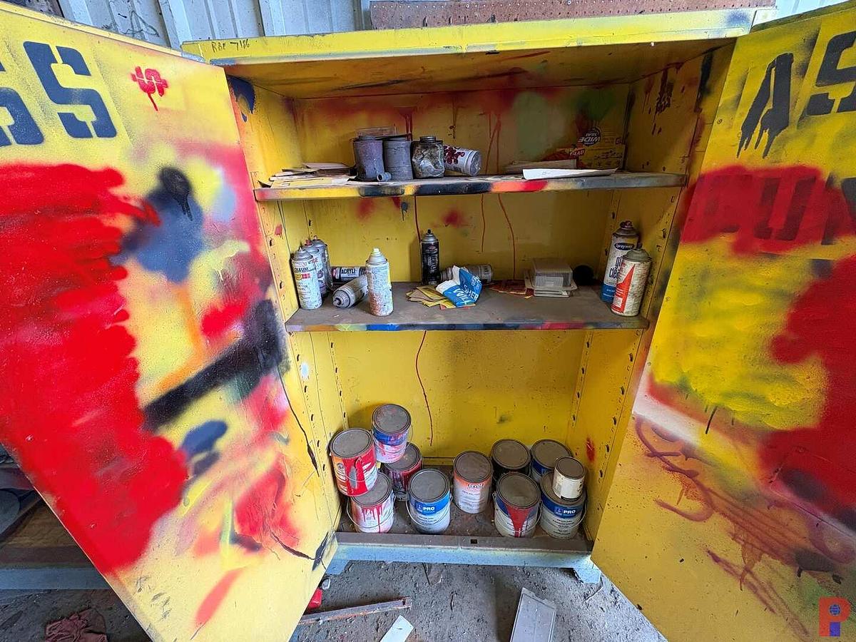 Used 43” X 18” X 70” PAINT STORAGE CABINET