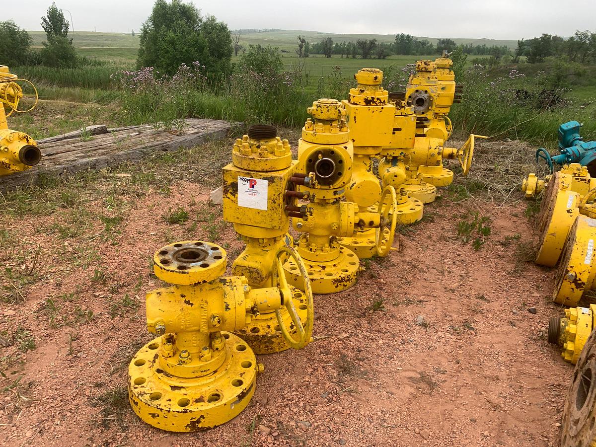Used (17x$) 2-9/16” 5k gate valves w/ fluid crosses & adapter flanges