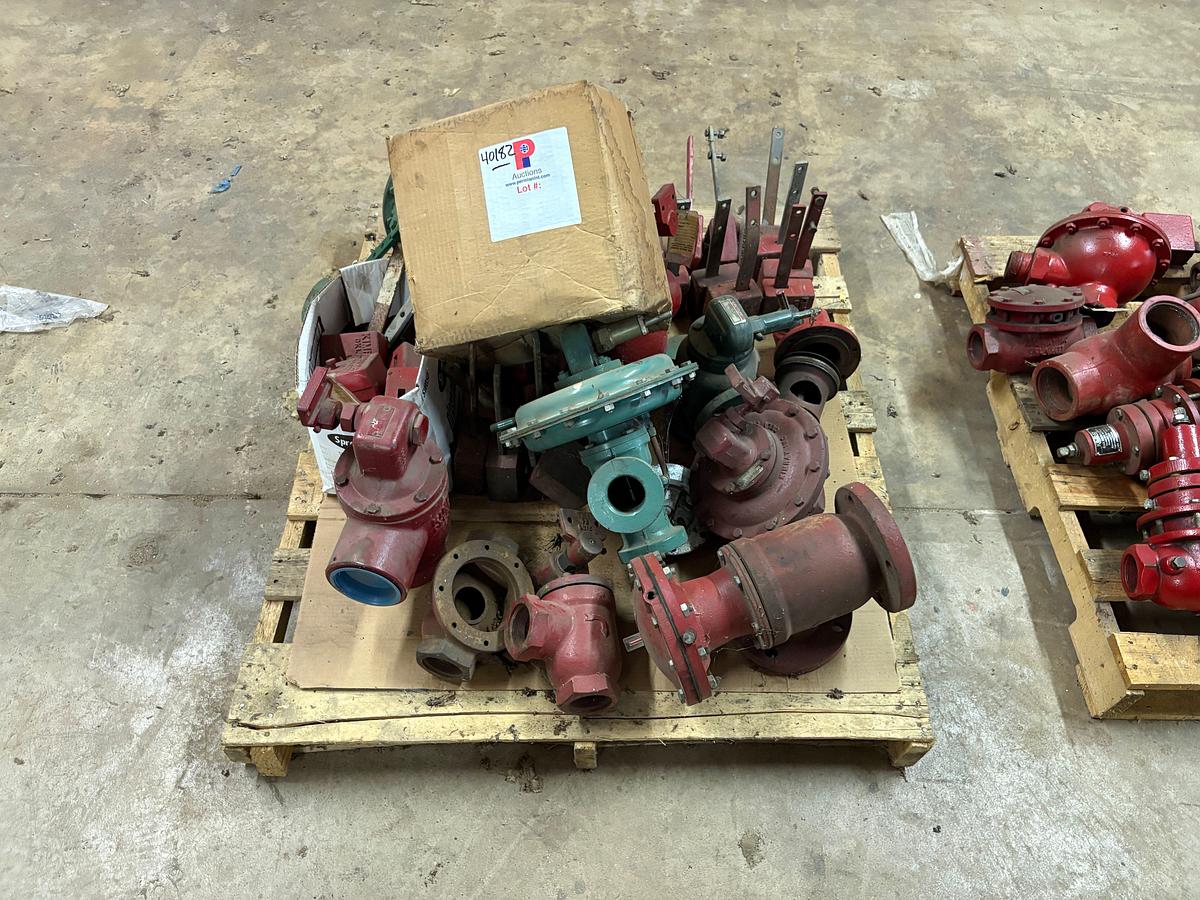 Used Pallet of (8) assorted Kimray 2” & 3” ball & check valves, & valve parts