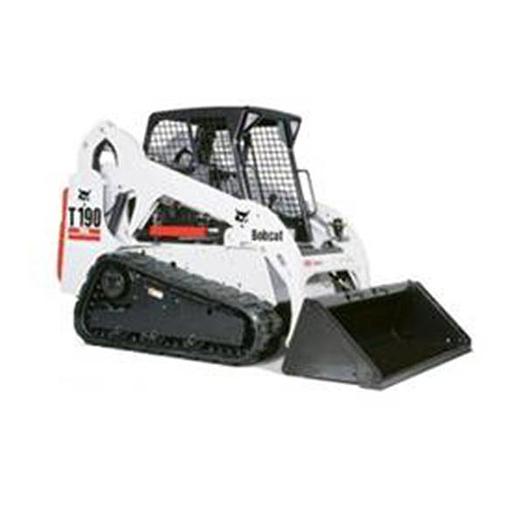 Usato Bobcat T190