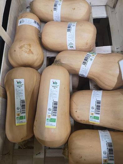 Gebraucht (SO-1) - Net Packing Line