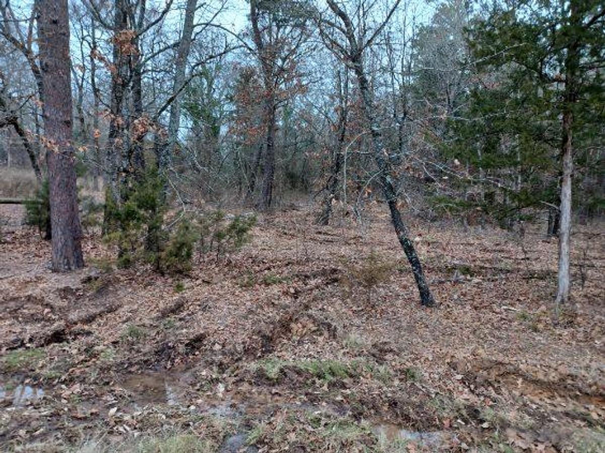 Used 27.963 Acres in Red River County TX