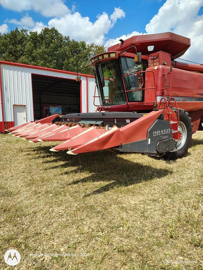 Used Drago N8 Corn Head