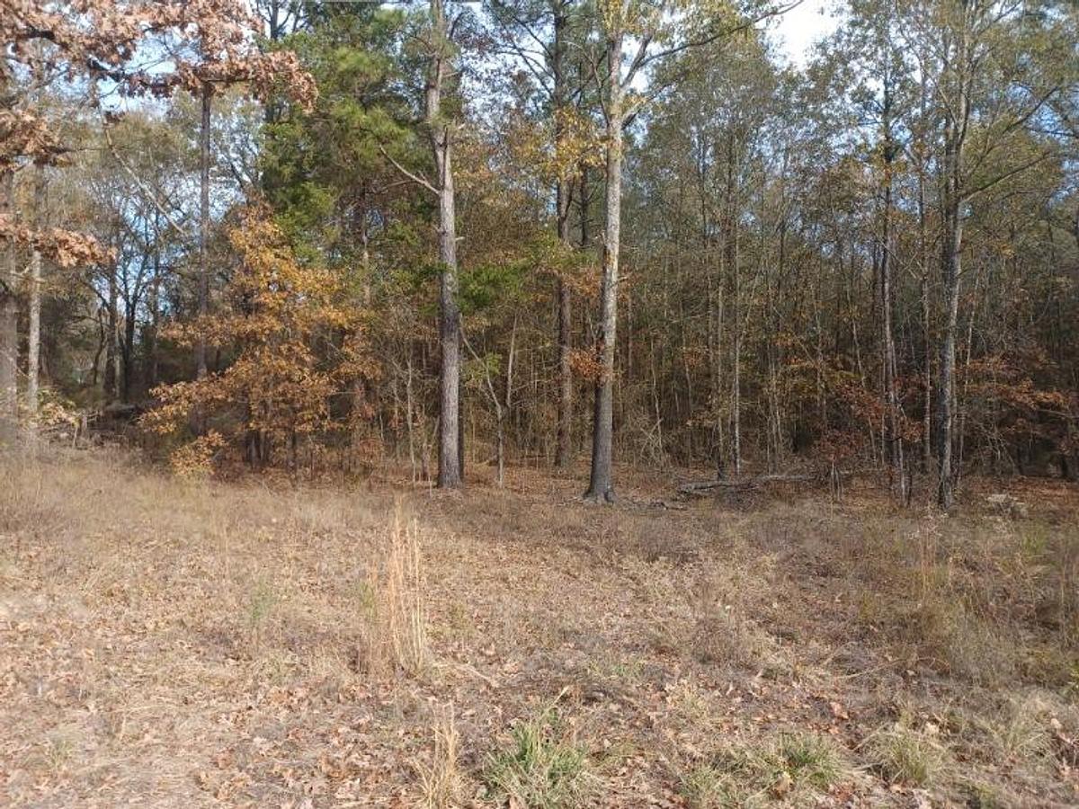 Used 27.963 Acres in Red River County TX