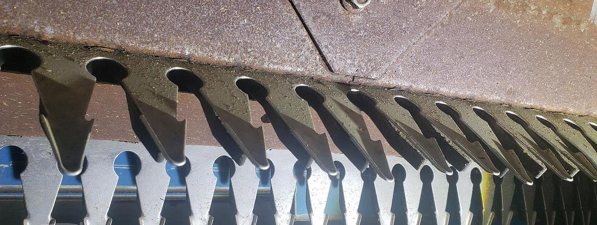 Used 2023 SHELBOURNE REYNOLDS CVS32