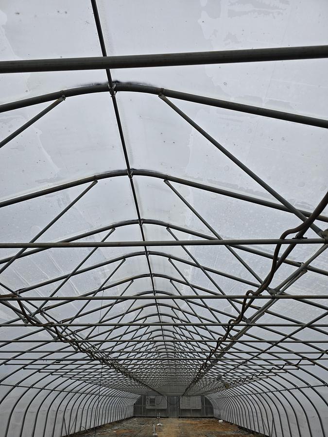 Used 2019 Greenhouses