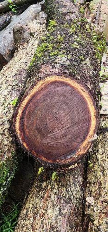 Used 2021 LucasMill SawMill Model 1030