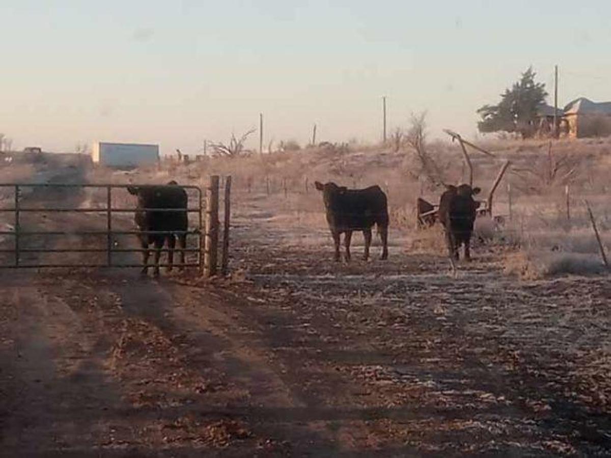 Used 2024 AG Land 162 Acres