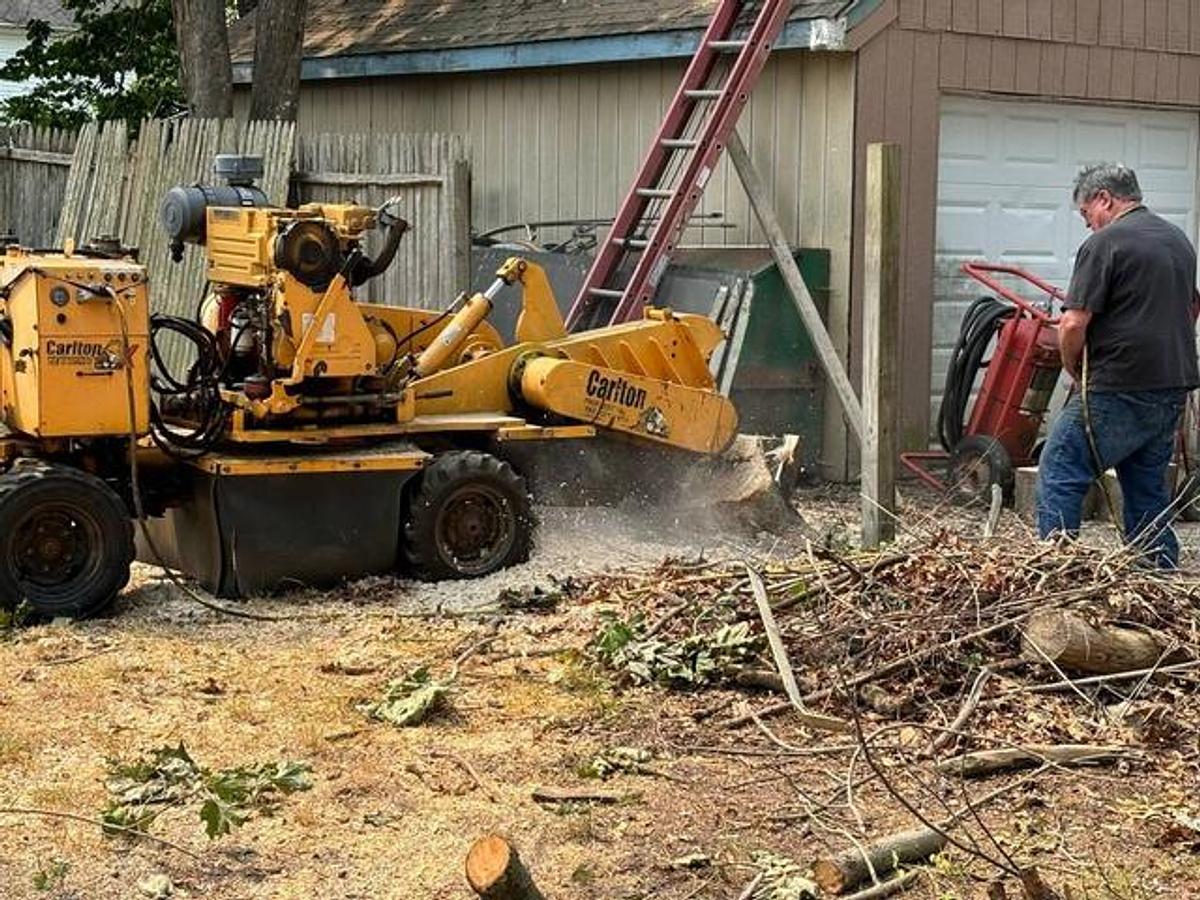 Used 2006 Carlton SP7015 Stump Grinder