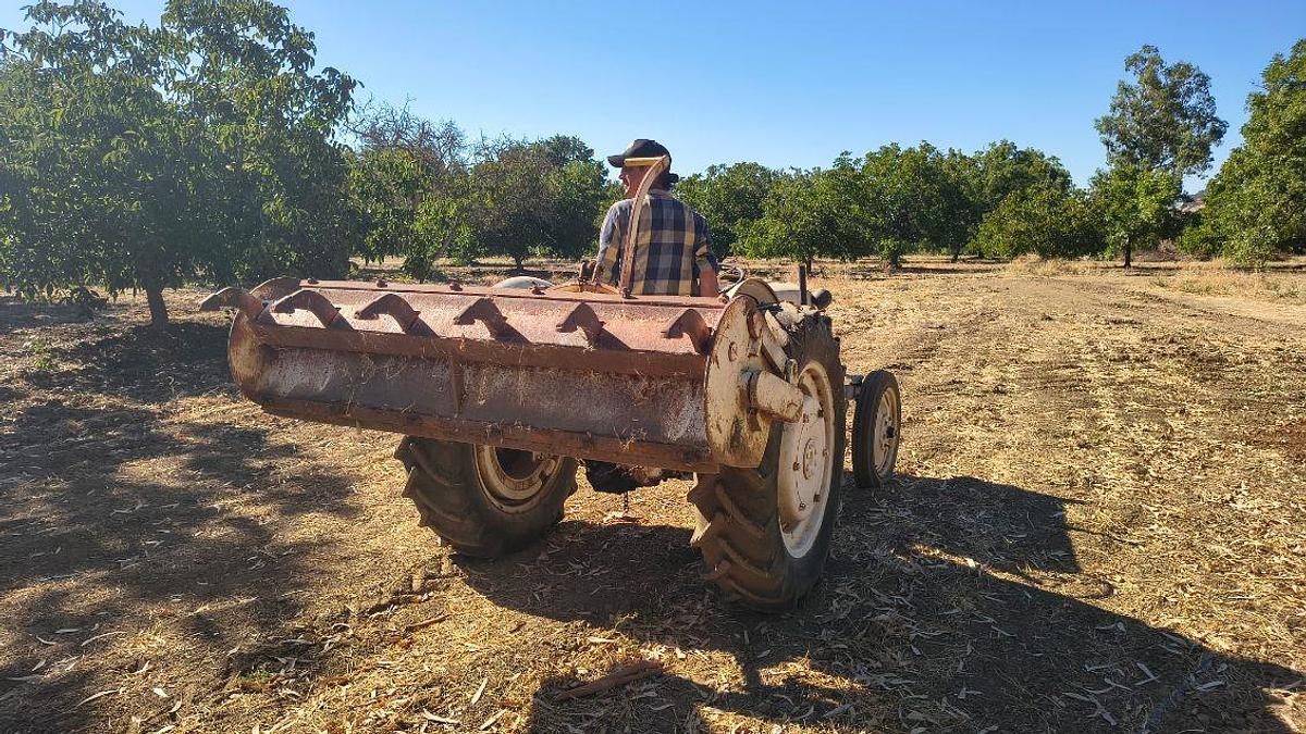 Used 1942 Ford 9N Tractor
