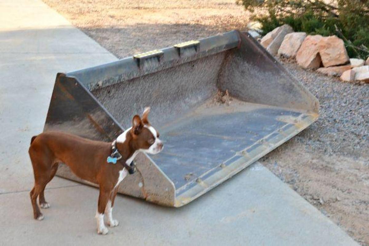 Used 2016 Bobcat S650