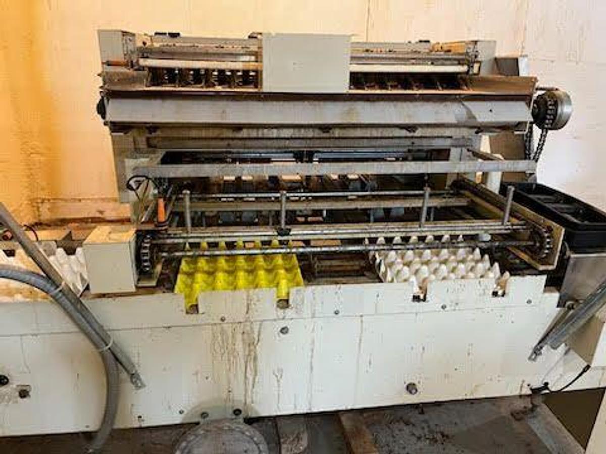 Used 1981 DIAMOND 15 CPH Egg Packer