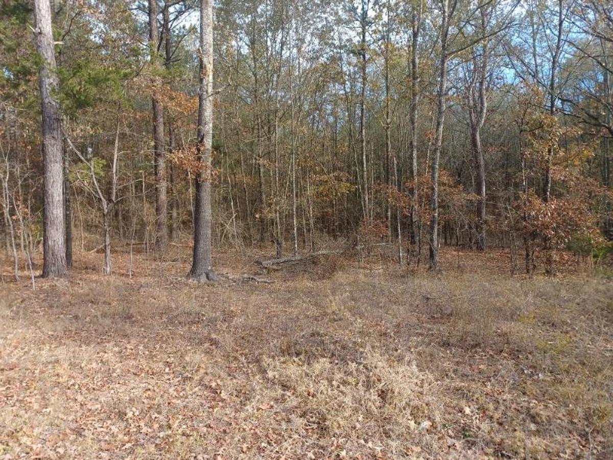 Used 27.963 Acres in Red River County TX