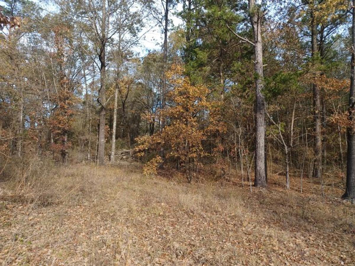 Used 27.963 Acres in Red River County TX